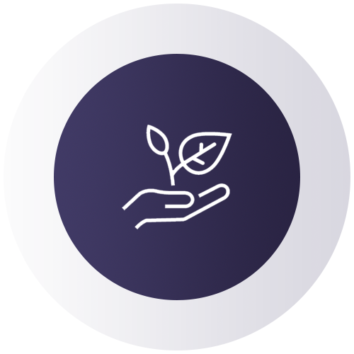 step6icon step6icon